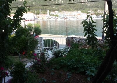 Apartman Surdić 1/4 - dvorište